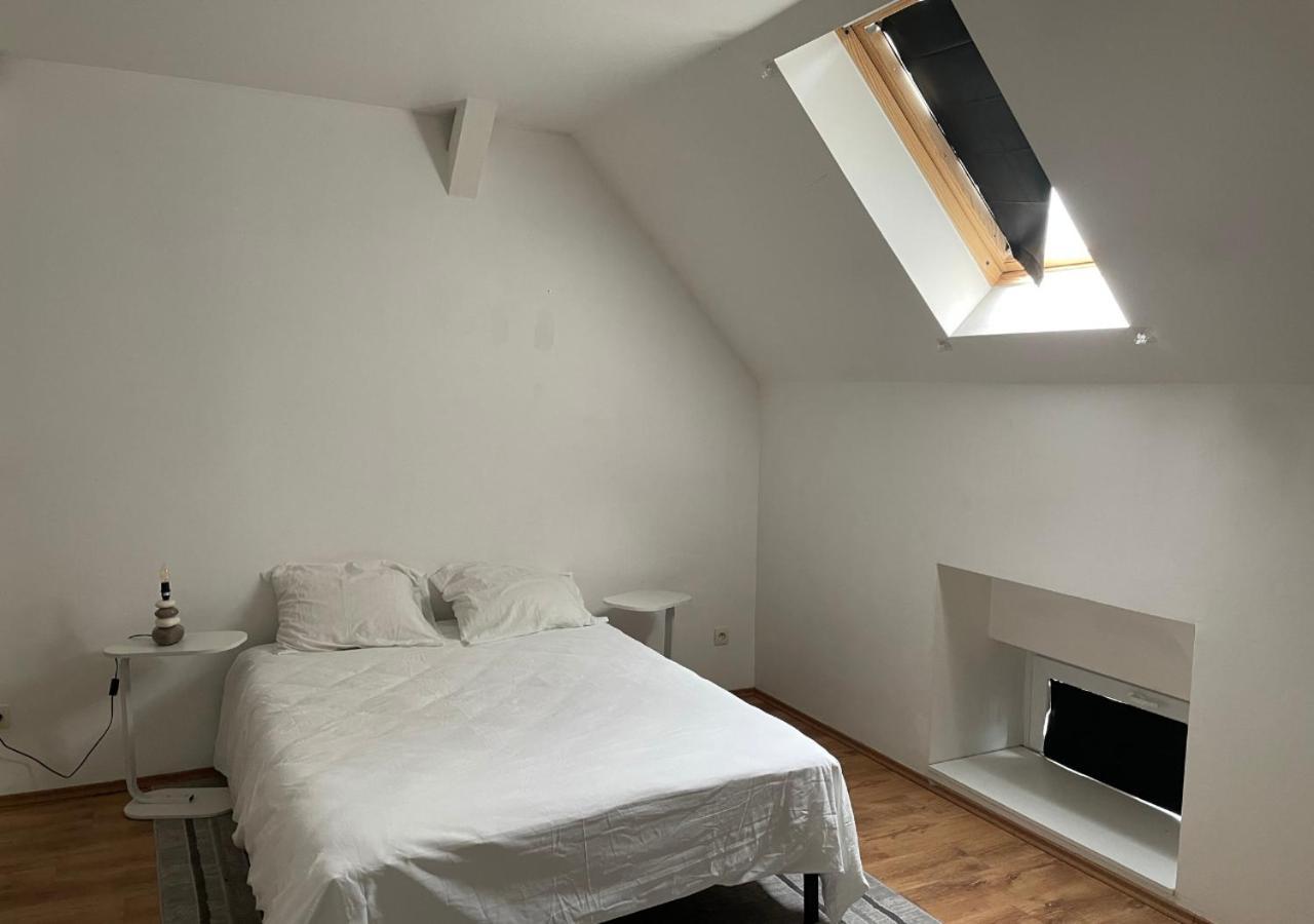 Le Wolf - 1 Chambre Dans Un T3 - 5Mn Tram Du Centre Ville - 15Mn Tram Gare Tgv Mulhouse - Wifi - Parking المظهر الخارجي الصورة